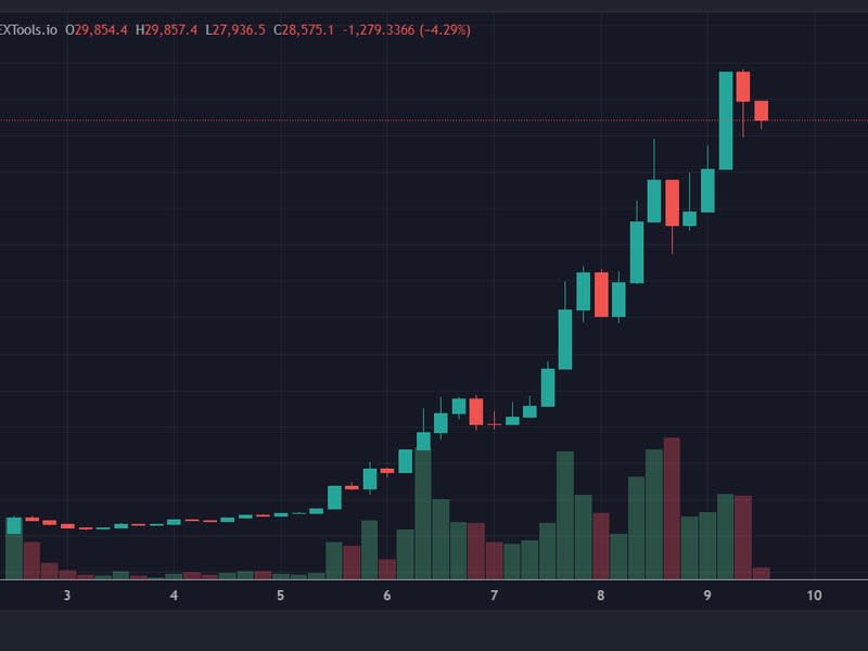 Pandora tokens have jumped from $250 to $30,000 in less than a week. (DEXTools)