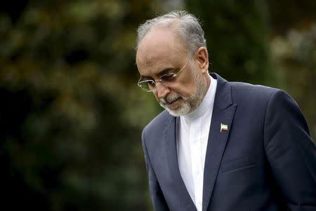 The Head of the Iranian Atomic Energy Organization Ali Akbar Salehi walks through a garden at the Beau Rivage Palace Hotel during an extended round of talks in Lausanne, April 2, 2015. REUTERS/Brendan Smialowski/Pool/Files