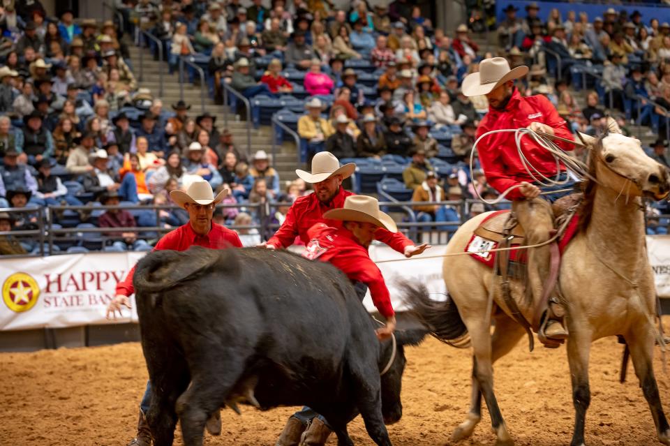 Four Sixes Ranch-Dixon Creek Divison team, Dusty Burson, Zane Herrin, Colter Hampton and Zack Peters rope and milk a wild cow during the 2023 WRCA World Championship Ranch Rodeo. They completed a time of 57.54 for the first go around. The rodeo continues at the Amarillo Civic Center through Sunday.