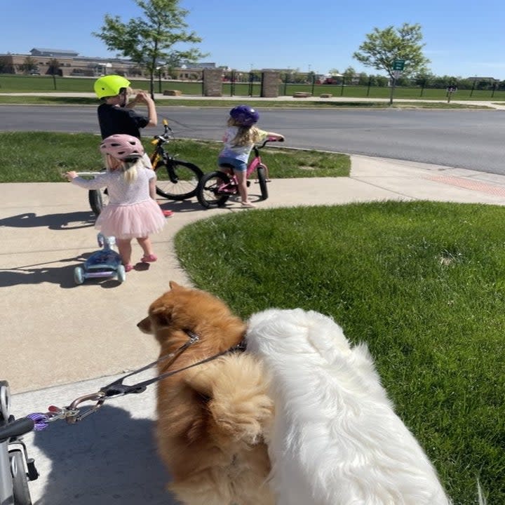 The author's children and dogs on a walk