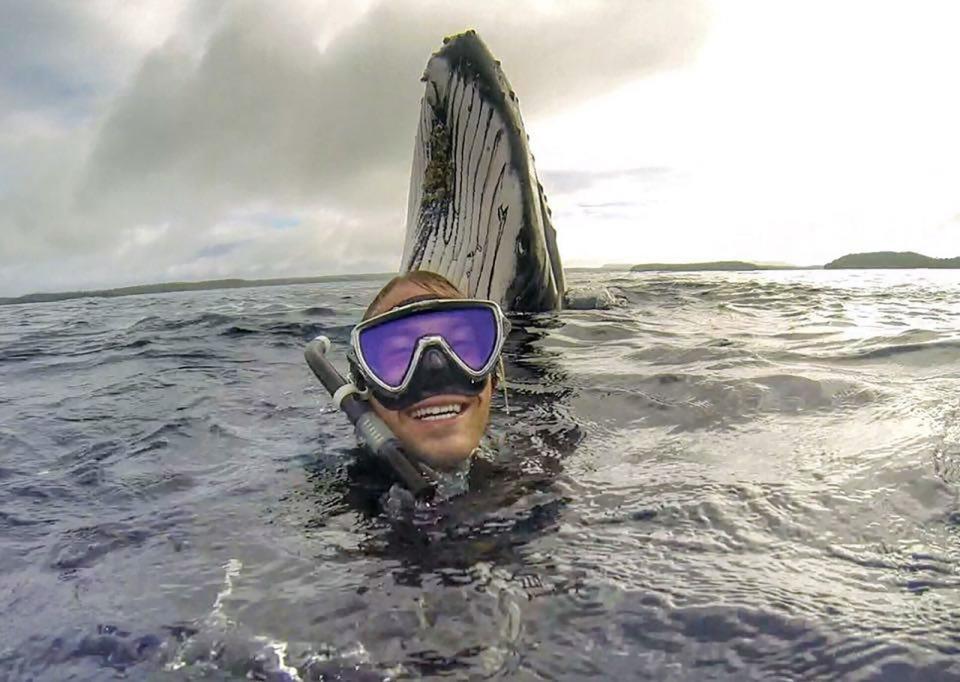 Gigantisches Selfie