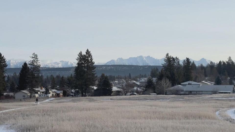 A pedestrian walks through a snow-dusted field near Cranbrook, B.C., on Saturday.