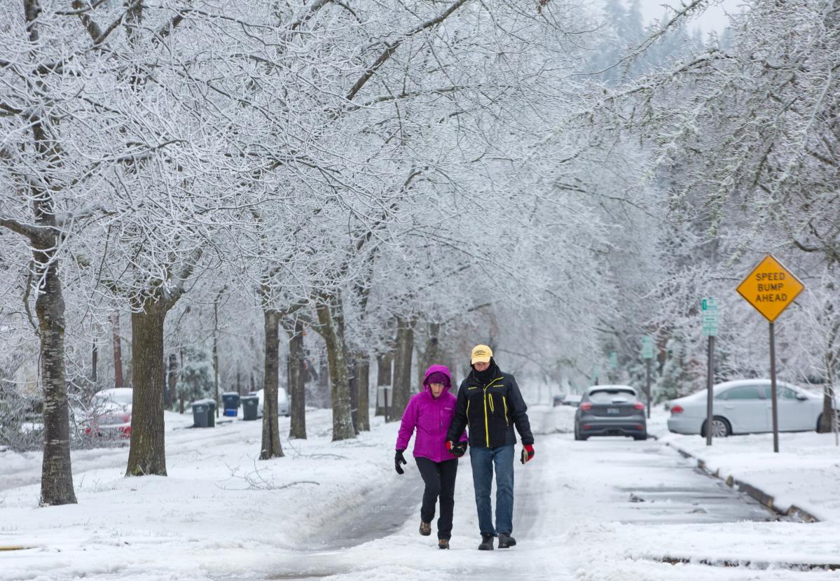 Ice storm wreaks havoc in Eugene, Springfield, Lane County, surrounding ...