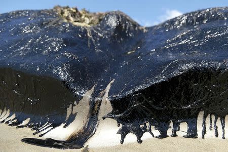 Oil seeps on a rock at Refugio State Beach after a massive oil spill on the California coast in Goleta, California May 22, 2015. REUTERS/Jonathan Alcorn