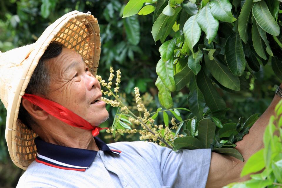 農場由大家長彭爸爸一手打造管理。