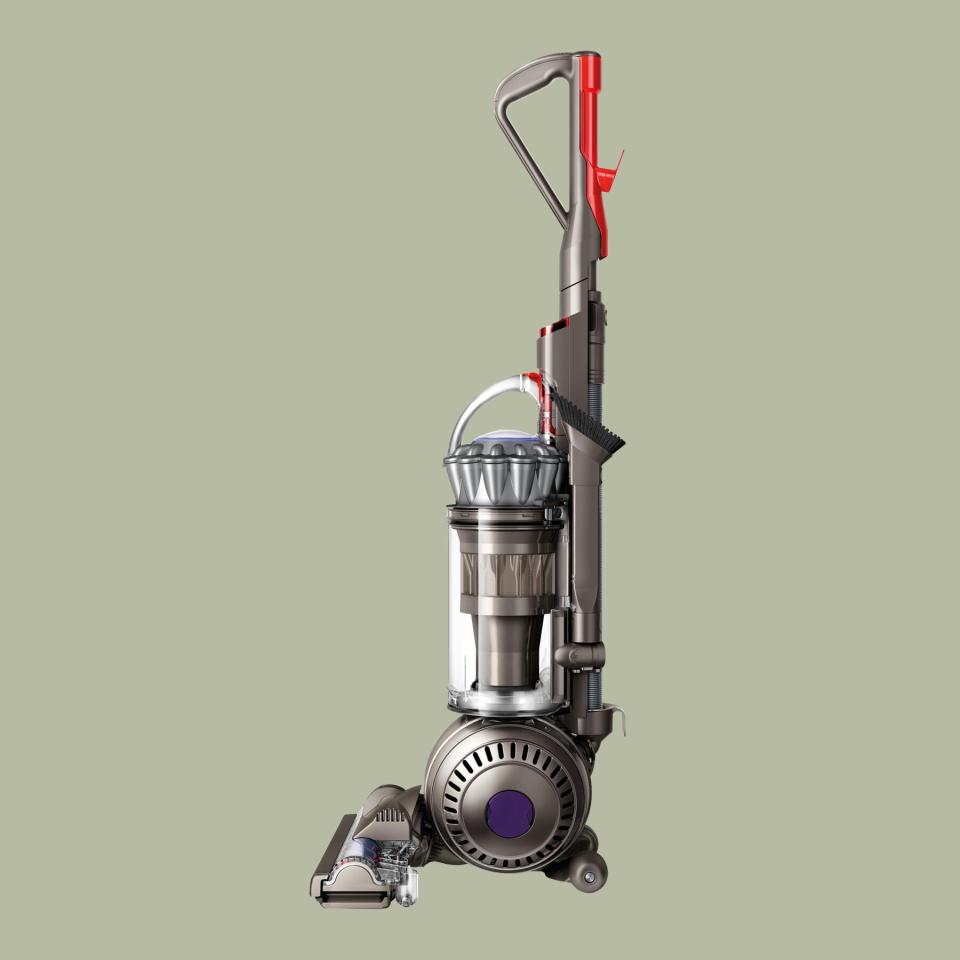 Dyson Ball Animal 2 pet vacuum cleaner (Iron)