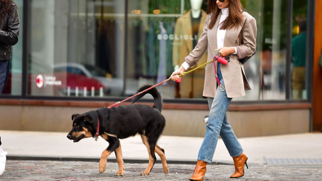 emily ratajkowski walks with her dog in new york cityto illustrate the best pet gifts of 2021