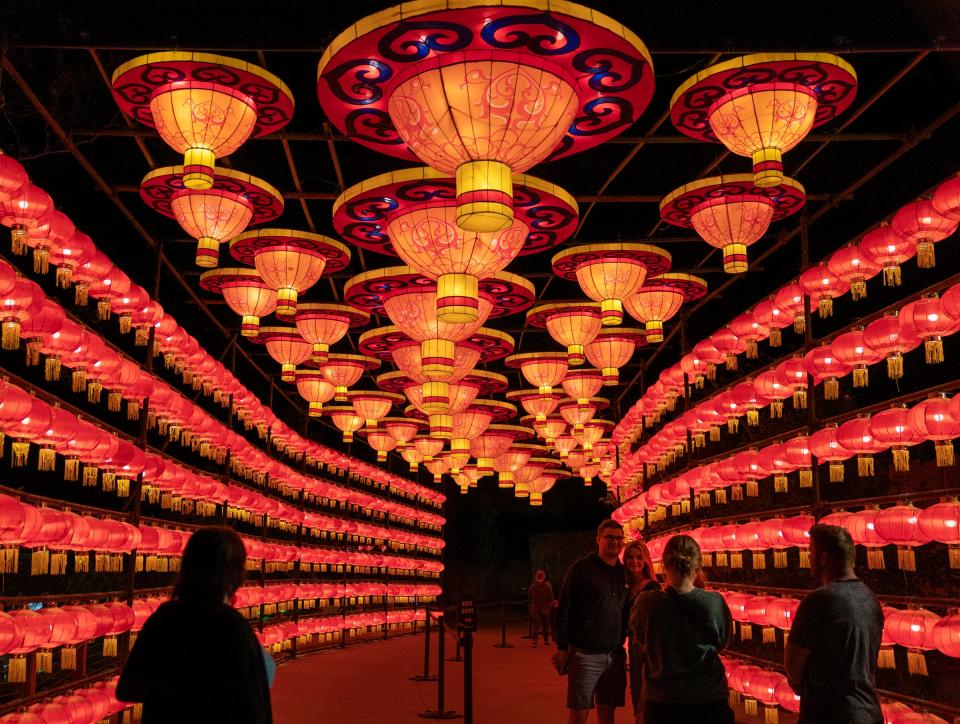 A tunnel full of lanterns during the Grand Rapids Lantern Festival at the John Ball Zoo on Wednesday, May 8, 2024.