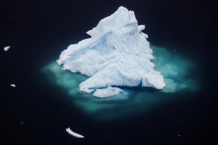 An iceberg floats in a fjord near the town of Tasiilaq, Greenland. REUTERS/Lucas Jackson