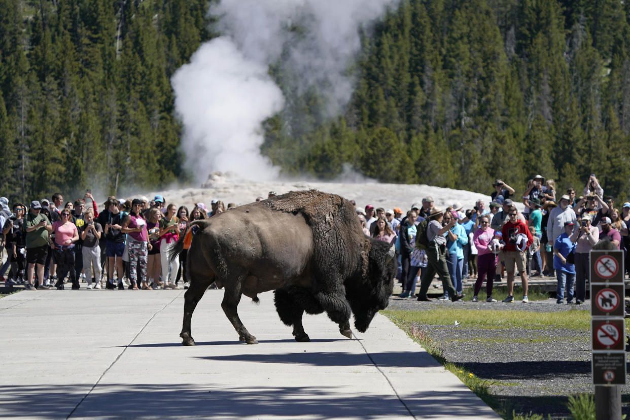 Parts Of Yellowstone National Park Reopen After Historic Flooding (George Frey / Getty Images)