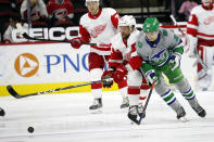 Carolina Hurricanes' Sebastian Aho (20) battles for the puck with Detroit Red Wings' Luke Glendening (41) during the first period of an NHL hockey game in Raleigh, N.C., Saturday, April 10, 2021. (AP Photo/Karl B DeBlaker)