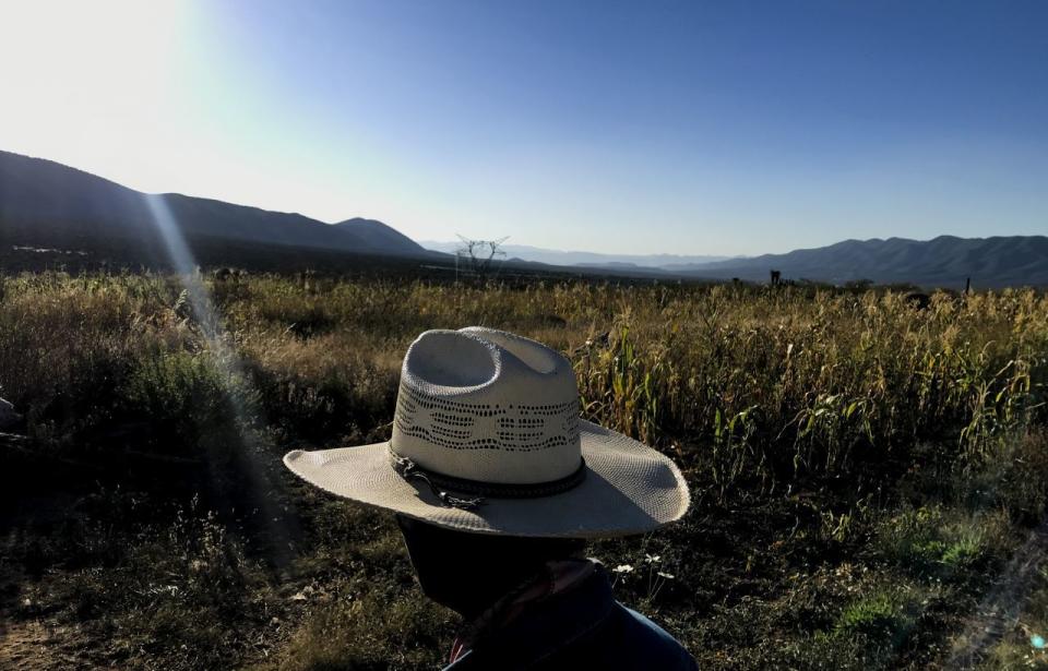 Roberto de la Rosa, campesino, chivero y defensor del medio ambiente, se mantiene en resistencia y defensa legal  en contra de la mina Tayahua, del grupo Frisco, perteneciente al empresario Carlos Slim HelÃº.