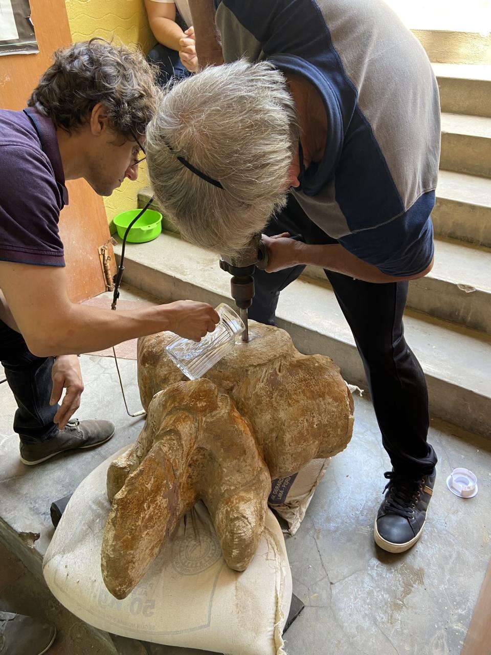 Bones of the new species were sampled with core drills to assess their inner structure (Giovanni Bianucci/University of Pisa/PA)