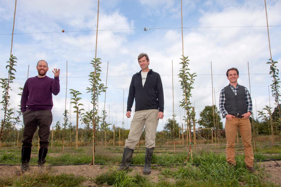 From left, Shacksbury Cider co-founder Colin Davis, Sunrise Orchards co-owner Barney Hodges and Shackbury co-foudner David Dolginow.