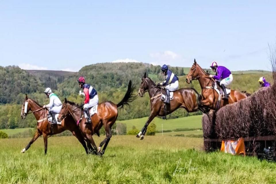 Point to Point Racing in Wessex <i>(Image: Point to Point Racing in Wessex)</i>