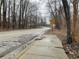 Gaps in the sidewalk along Williamsen Drive/Nelson Street in Brighton will be filled in through the grant.