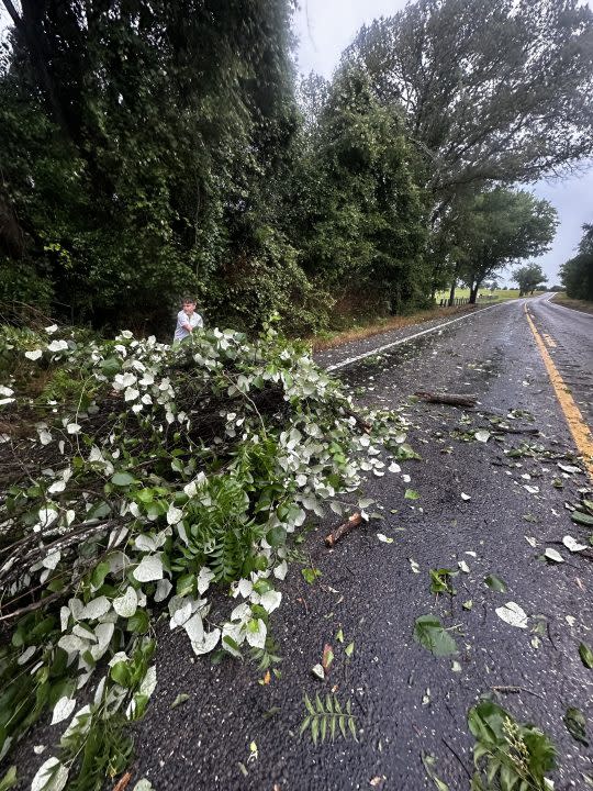 Storm damage in Lindale on Tuesday morning