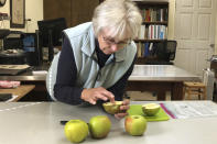 In this Oct. 30, 2019, photo, Joanie Cooper, of the Temperate Orchard Conservancy, examines a rare apple in her lab in Molalla, Oregon. Cooper and her colleagues have helped identify many of the 13 "lost" apple varieties that have been rediscovered in recent years by the Lost Apple Project in eastern Washington and northern Idaho. (AP Photo/Gillian Flaccus)