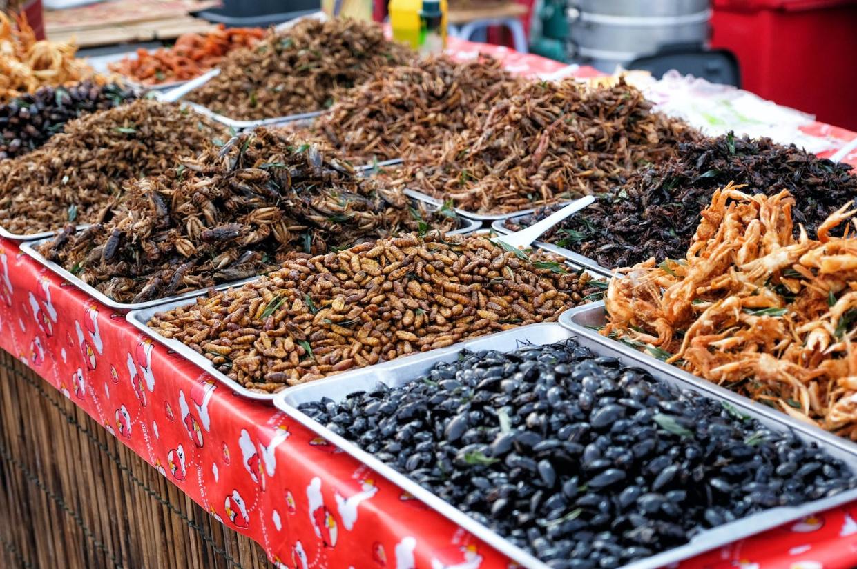 <a href="https://www.shutterstock.com/es/image-photo/fried-insects-street-food-thailand-this-452673865" rel="nofollow noopener" target="_blank" data-ylk="slk:SAHACHATZ / Shutterstock;elm:context_link;itc:0;sec:content-canvas" class="link ">SAHACHATZ / Shutterstock</a>