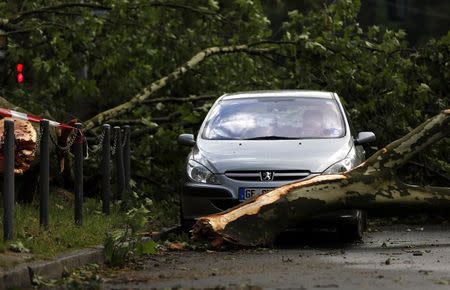 Fallen trees block a car in Gelsenkirchen June 10, 2014. At least five people were killed in violent storms that swept Germany's most populous state late on Monday, felling trees, disrupting public transport and leaving some roads impassable. REUTERS/Ina Fassbender