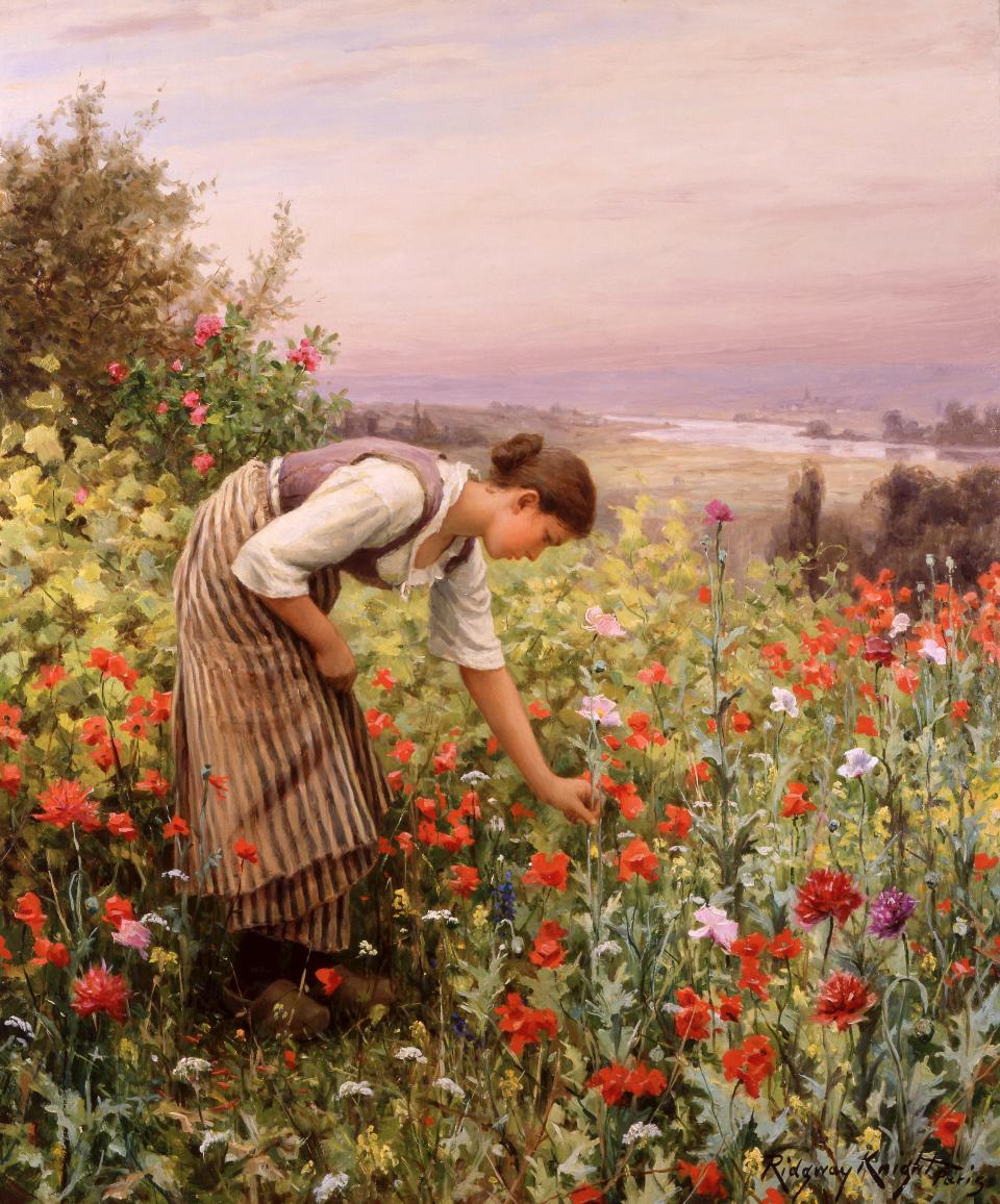 Daniel Ridgway Knight (American, 1839-1924) "Girl Picking Poppies", n.d. Oil on canvas, 22 ¼ x 18 ¼ inches.