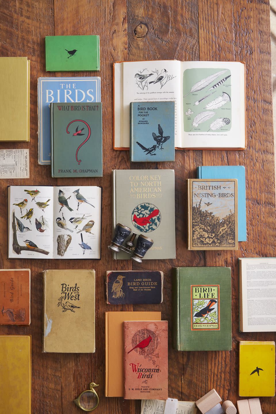 vintage books about birds and field guides