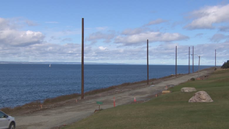 Pole predicament: Seal Cove residents disgusted by utility poles along shoreline