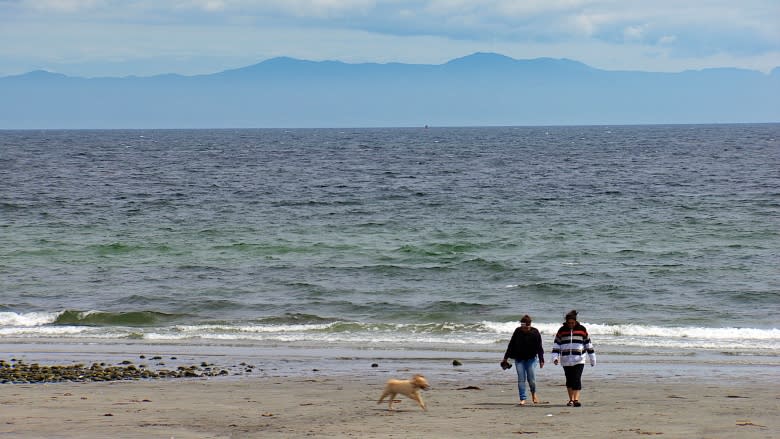 Batten down the hatches: Windy weather forecast for southern B.C.