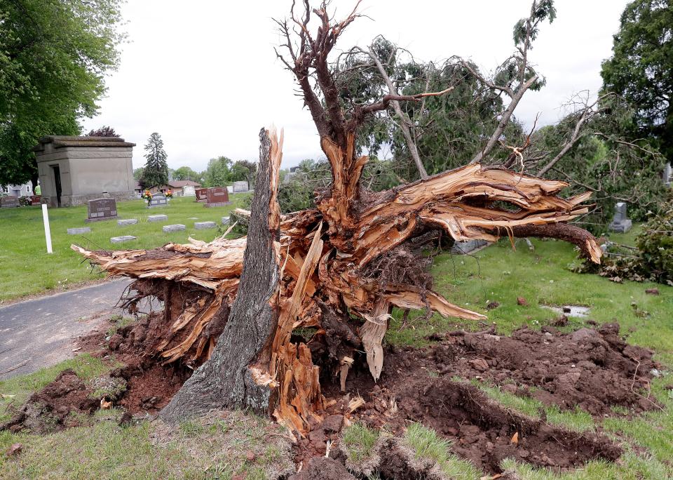 Downed trees in Holy Cross Cemetery after a powerful storm moved through the Fox Cities on Tuesday night leaving damage to houses and powerlines across the area on Wednesday May 22, 2024 in Kaukauna, Wis. 
Wm. Glasheen USA TODAY NETWORK-Wisconsin