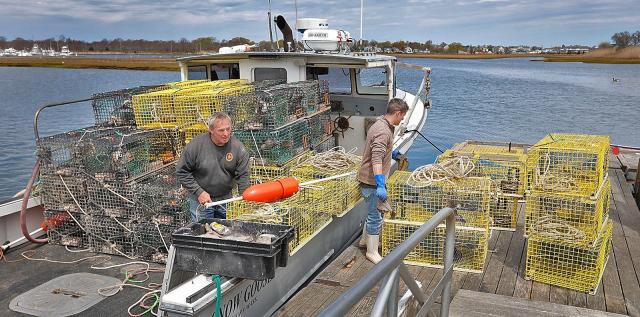 Massachusetts fishermen struggling as federal, state regulations hinder  livelihood