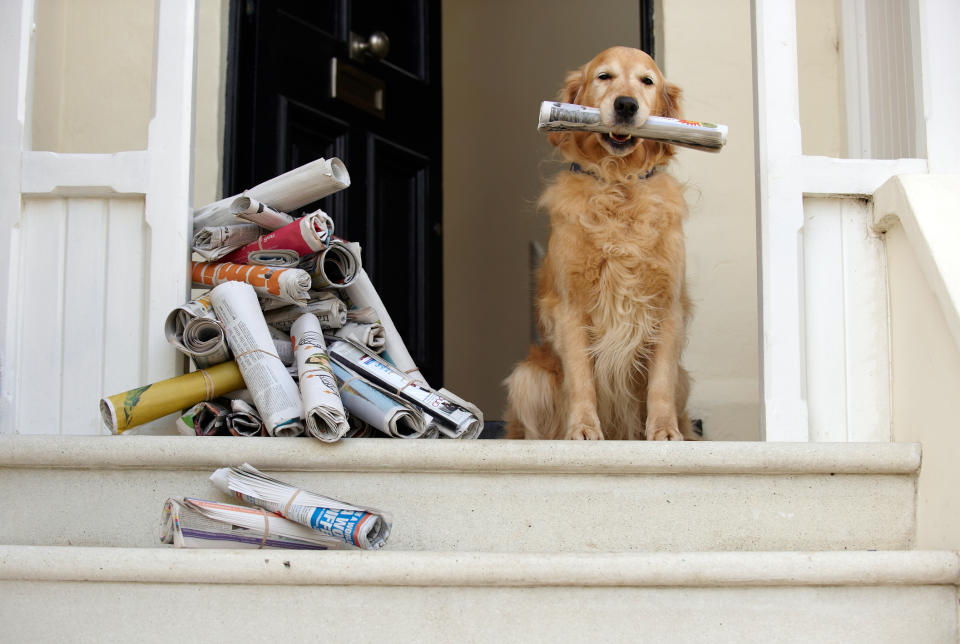 <i>Photo: Getty</i>