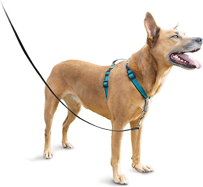 3-in-1 Pet Harness (Photo via Amazon)