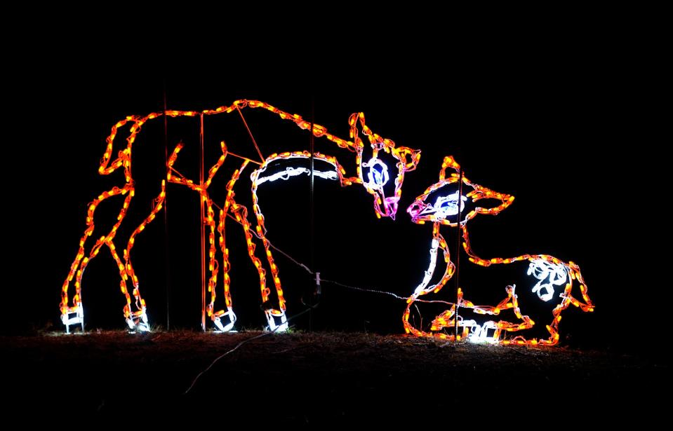 A holiday light display of deer is shown Dec. 5, 2020, at Presque Isle State Park during Presque Isle Lights.