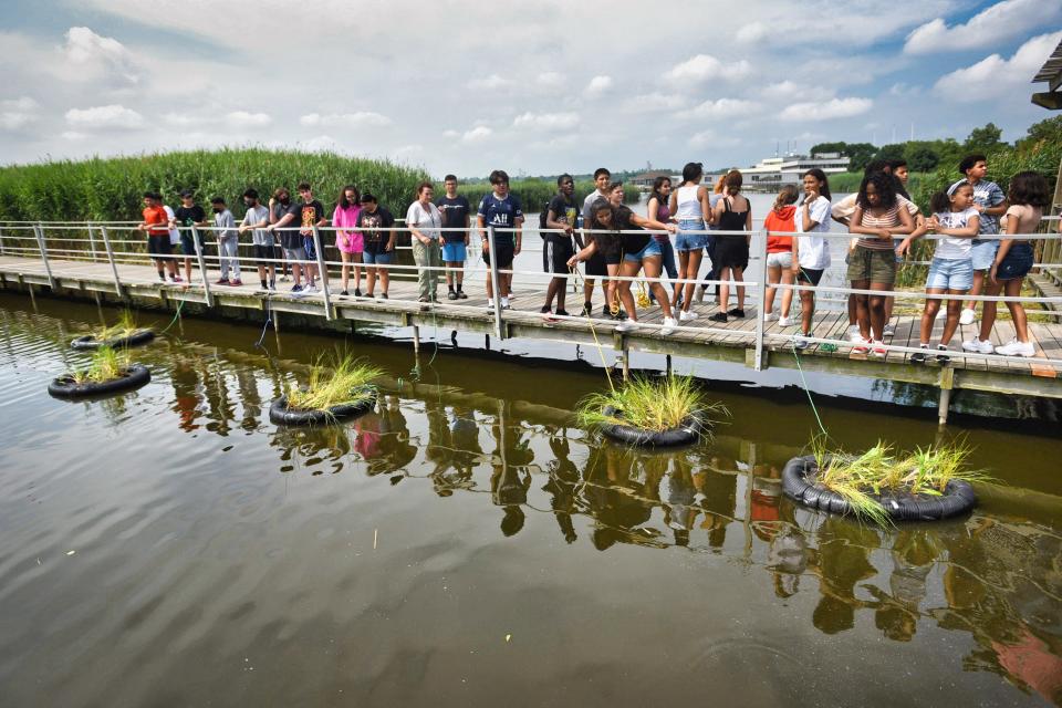 Ridgefield Park students observe following placing five artificial floating islands onto the tidal impoundments at Meadowlands Environment Center in Lyndhurst, Thursday on 07/28/22. 