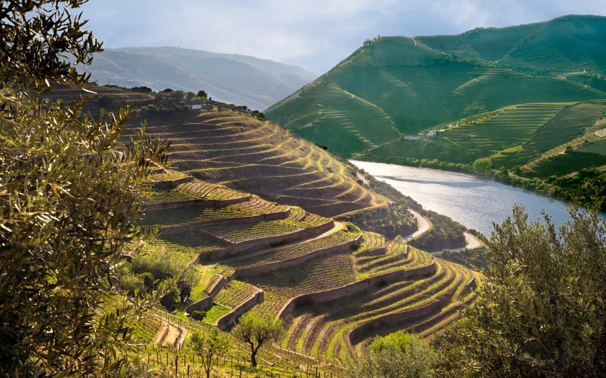 Cruise through Portugal, or find vineyards in Essex closer to home - Jon Bower at Apexphotos