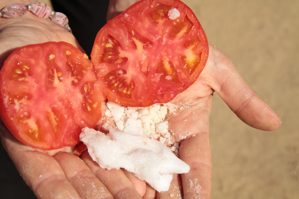 Dried salt and organic tomatoes at Carmel Valley Ranch