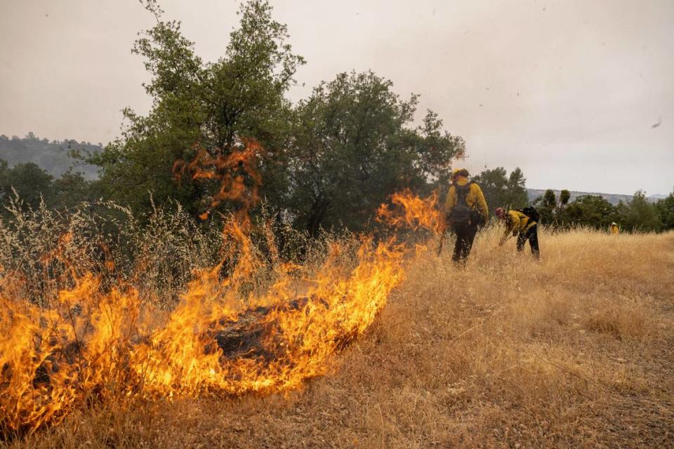 Firefighters light backfires at the top of a ridge as the Park Fire smolders below near Highway 36, northeast of Red Bluff in Tehama County, on July 27.