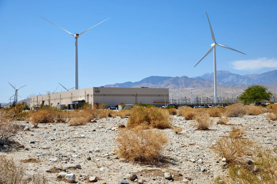 Image: Kings Garden in Desert Hot Springs, Calif. (Maggie Shannon / for NBC News)