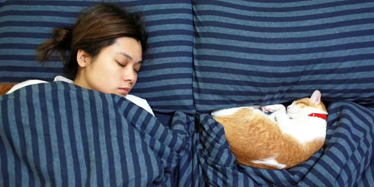 Más de la mitad de los dueños de mascotas, en su mayoría de gatos o perros,  permiten que sus mascotas duerman en sus camas. (Getty)