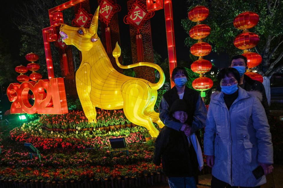 A family wearing face masks pose for pictures next to the figure of an ox in Wuhan in China's central Hubei province on February 10, 2021, ahead of the biggest holiday of the year, the Lunar New Year, which ushers in the Year of the Ox on February 12. (Photo by Hector RETAMAL / AFP) (Photo by HECTOR RETAMAL/AFP via Getty Images)