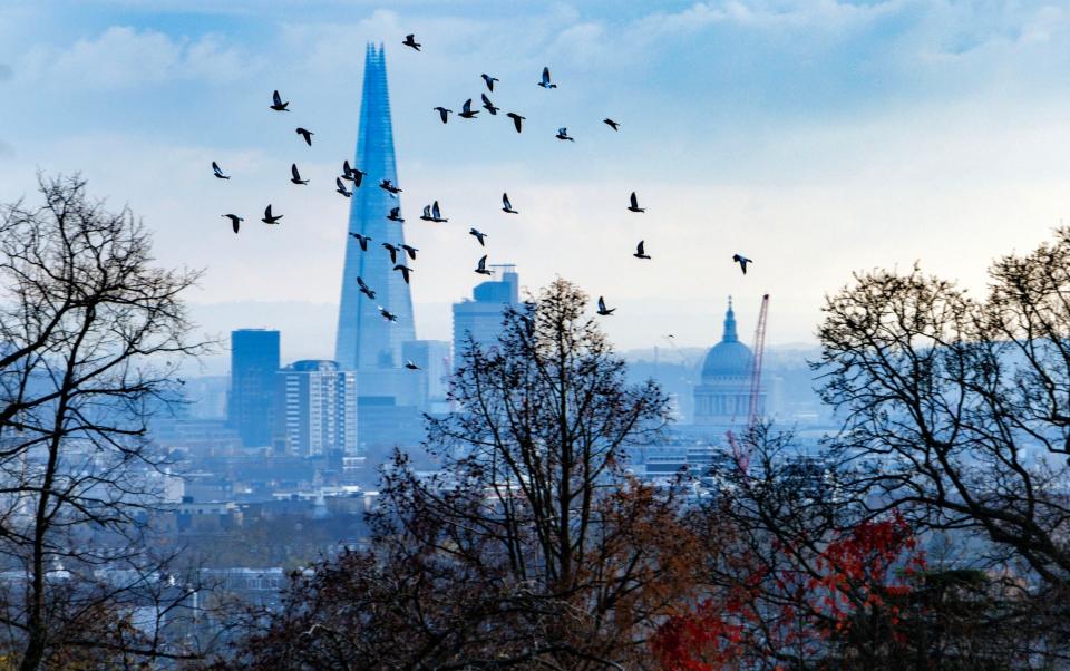 London is bracing itself for a cold snap starting next week - Gavin Rodgers/ Pixel8000