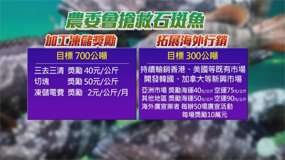 搶救石斑魚市場　農委祭4.8億補貼漁民