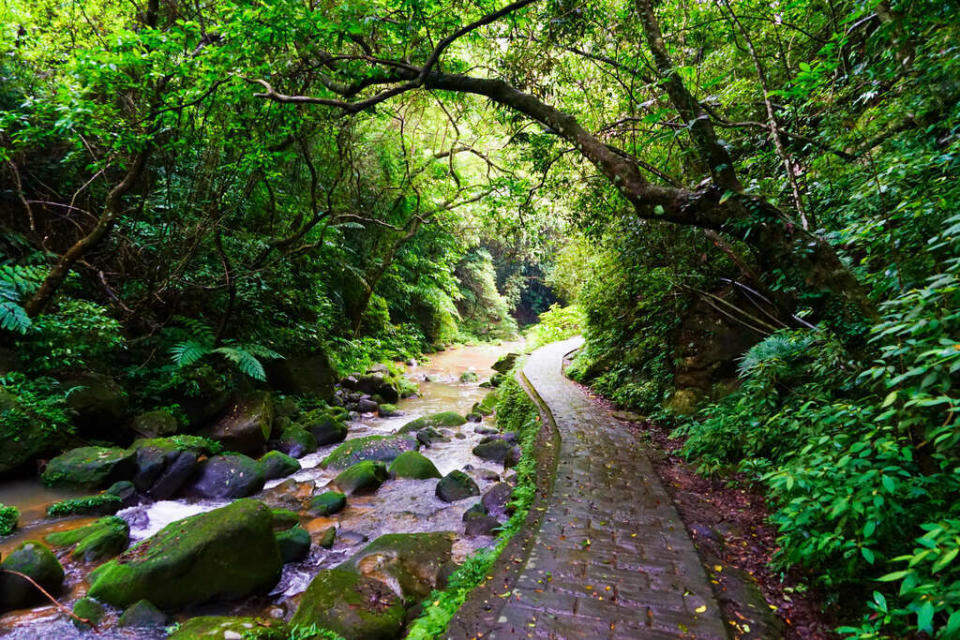 內湖大溝溪生態治水園區園區可連結五指山系登山步道。   圖：台北水利處／提供