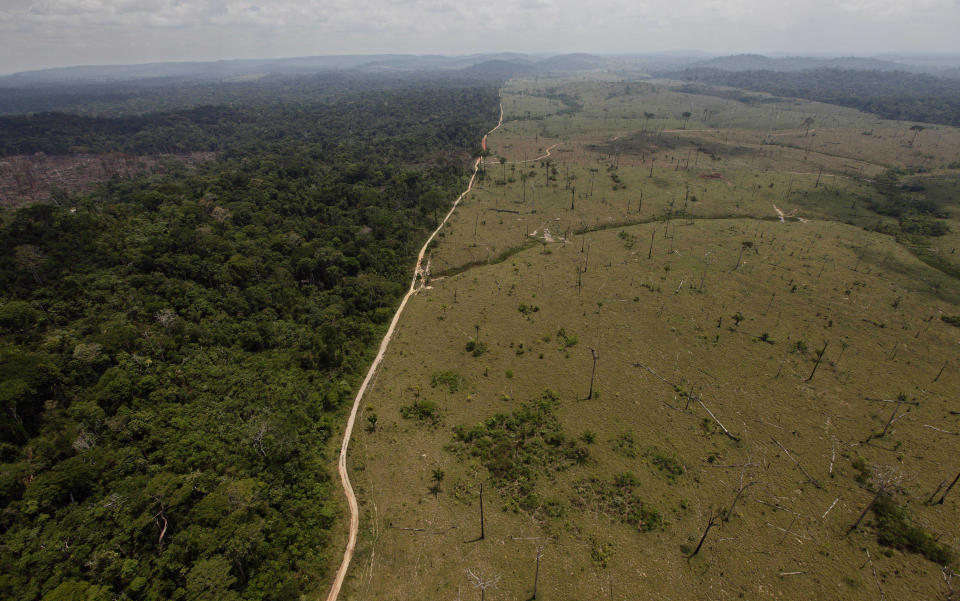 <p> FILE - This Sept. 15, 2009 file photo shows a deforested area near Novo Progresso in Brazil's northern state of Para. Brazil detained a land-grabber in Para state thought to be the Amazon's single biggest deforester, according to the country's environmental protection agency. The Brazilian Institute of Environment and Renewable Natural Resources said Ezequiel Antonio Castanha, detained Saturday, Feb. 21, 2015, operated a network that illegally seized federal lands, clear-cut them and sold them to cattle grazers. (AP Photo/Andre Penner, File) </p>