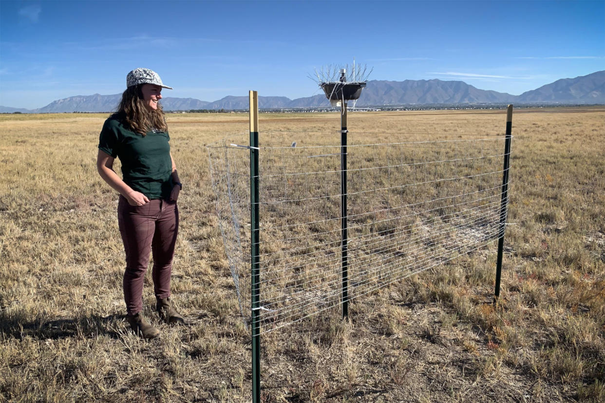Annie Putman, a USGS researcher, stands with a dust-capturing sensor. Researchers suspect suburban communities north of Salt Lake City could be receiving the majority of the dust that blows off the lake. (Evan Bush / NBC News)