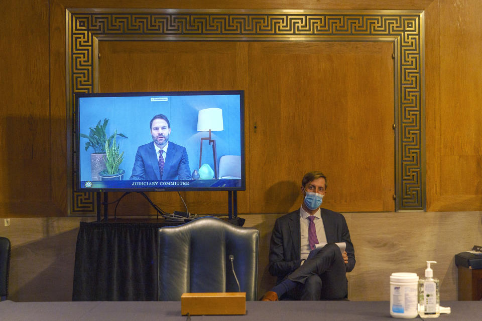 Donald Harrison, President of Global Partnerships and Corporate Development for Google, testifies via video conference during a Judiciary Subcommittee on Antitrust, Competition Policy and Consumer rights hearing to examine whether Google harmed competition in online advertising, Tuesday, Sept. 15, 2020, on Capitol Hill in Washington. (AP Photo/Jacquelyn Martin)