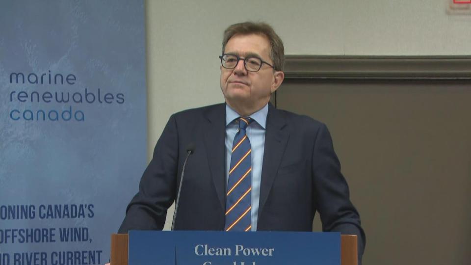 Minister of Energy and Natural Resources Jonathan Wilkinson said the world is moving toward a green economy and Canada should seize the initiative.