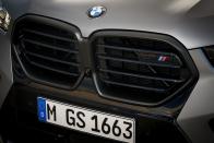 <p>2024 BMW X6 M</p>