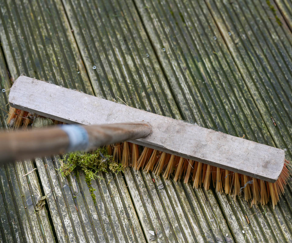 deck with moss and algae