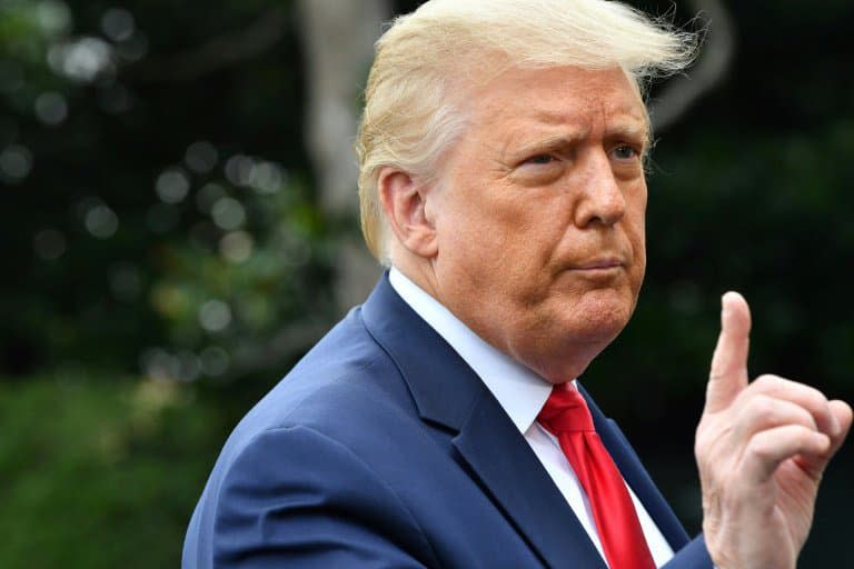 L'ex-président américain Donald Trump le 31 juillet 2020 à Washington - Nicholas Kamm © 2019 AFP